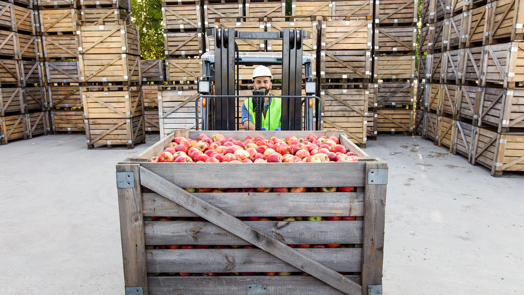 Conductor de grúa transportando frutas en centro logístico